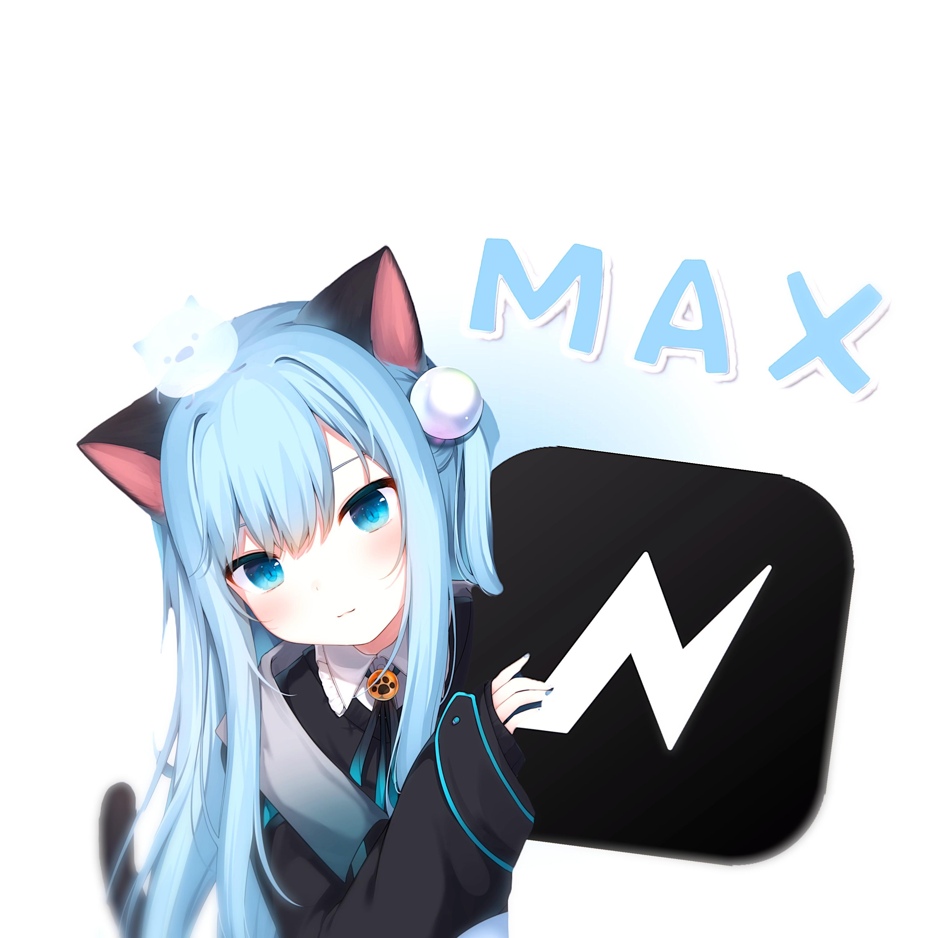 NV MAX